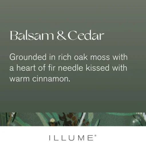 Balsam & Cedar Aromatic Diffuser