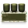 Balsam & Cedar Candle Trio Gift Set