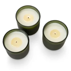 Balsam & Cedar Candle Trio Gift Set