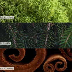 Balsam & Cedar Candle Trio Gift Set