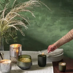 Balsam & Cedar Candle Trio Gift Set