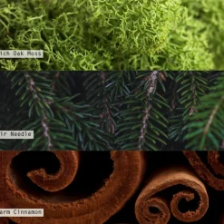 Balsam & Cedar Vanity Tin Candle