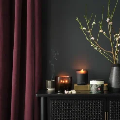 Blackberry Absinthe Demi Vanity Tin Candle
