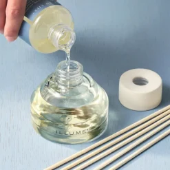 Blackberry Absinthe Diffuser Refill