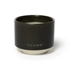 Blackberry Absinthe Matte Ceramic Candle