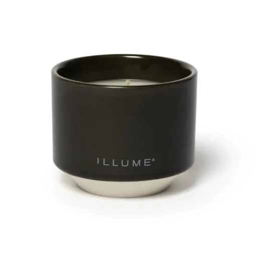 Blackberry Absinthe Matte Ceramic Candle