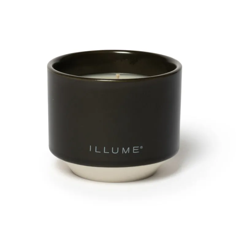 Blackberry Absinthe Matte Ceramic Candle