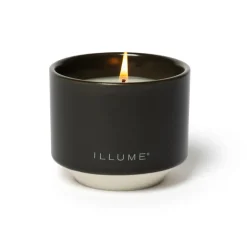 Blackberry Absinthe Matte Ceramic Candle