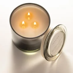 Blackberry Absinthe Statement Glass Candle