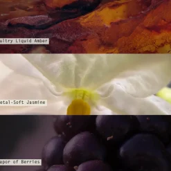 Blackberry Absinthe Statement Glass Candle