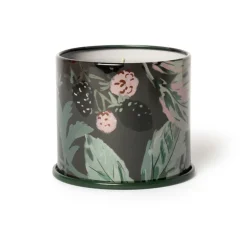 Blackberry Absinthe Vanity Tin Candle