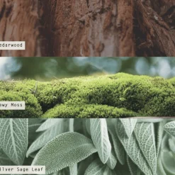 Borealis Moss Aromatic Diffuser