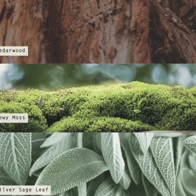 Borealis Moss Aromatic Diffuser