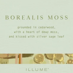 Borealis Moss Aromatic Diffuser
