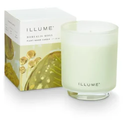 Borealis Moss Refillable Boxed Glass Candle
