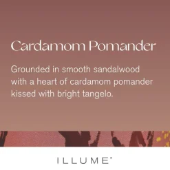 Cardamom Pomander Demi Vanity Tin Candle