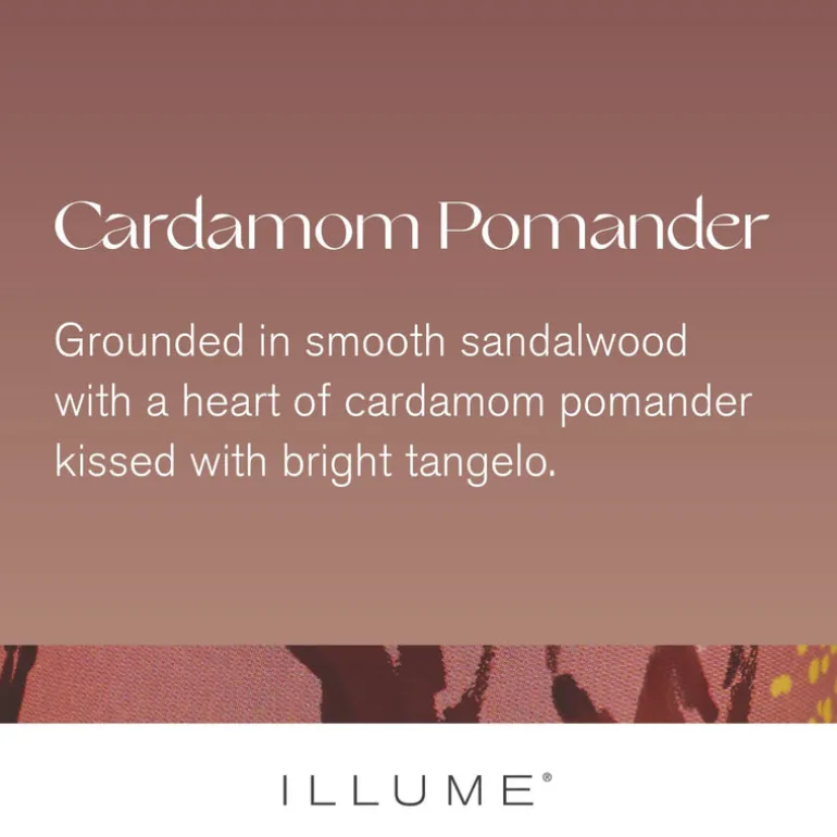Cardamom Pomander Demi Vanity Tin Candle