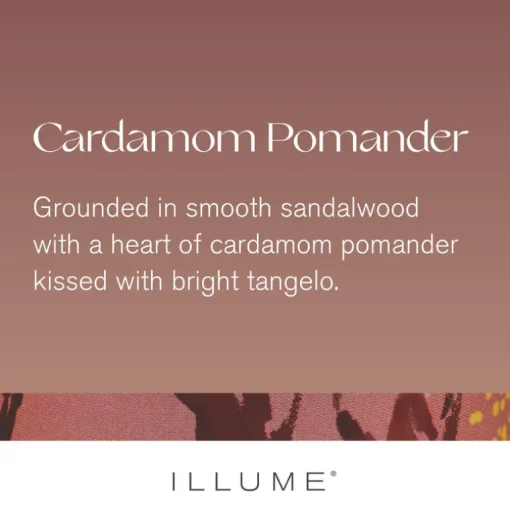 Cardamom Pomander Large Radiant Glass Candle