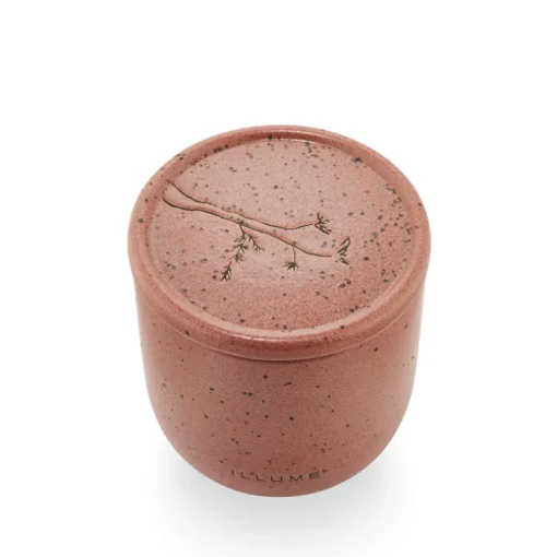 Citrus Cedarleaf Medium Outdoor Ceramic