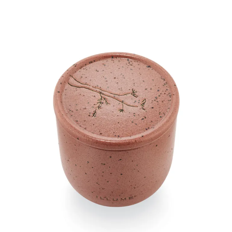 Citrus Cedarleaf Medium Outdoor Ceramic