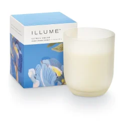 Citrus Crush Baby Boxed Glass Candle