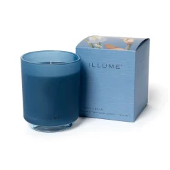 Citrus Crush Boxed Glass Candle