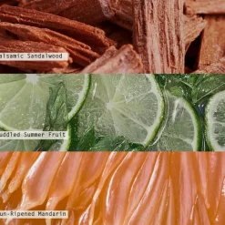 Citrus Crush Boxed Glass Candle Refill