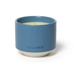 Citrus Crush Matte Ceramic Candle