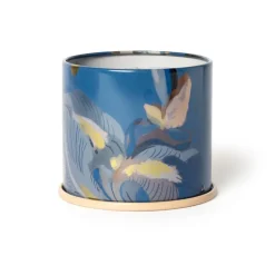 Citrus Crush Vanity Tin Candle