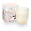 Coconut Milk Mango Baby Boxed Glass Candle