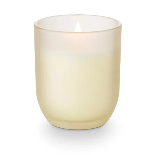 Coconut Milk Mango Baby Boxed Glass Candle