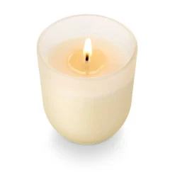 Coconut Milk Mango Baby Boxed Glass Candle