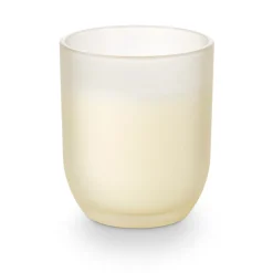 Coconut Milk Mango Baby Boxed Glass Candle