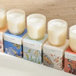 Coconut Milk Mango Baby Boxed Glass Candle