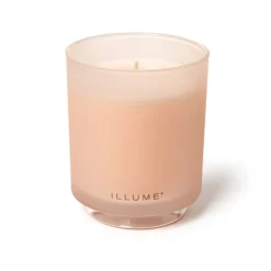 Coconut Milk Mango Boxed Glass Candle