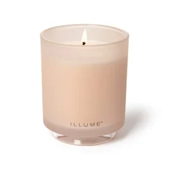 Coconut Milk Mango Boxed Glass Candle