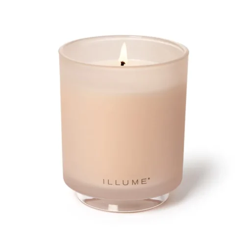 Coconut Milk Mango Boxed Glass Candle