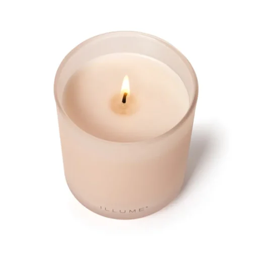 Coconut Milk Mango Boxed Glass Candle