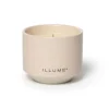 Coconut Milk Mango Matte Ceramic Candle