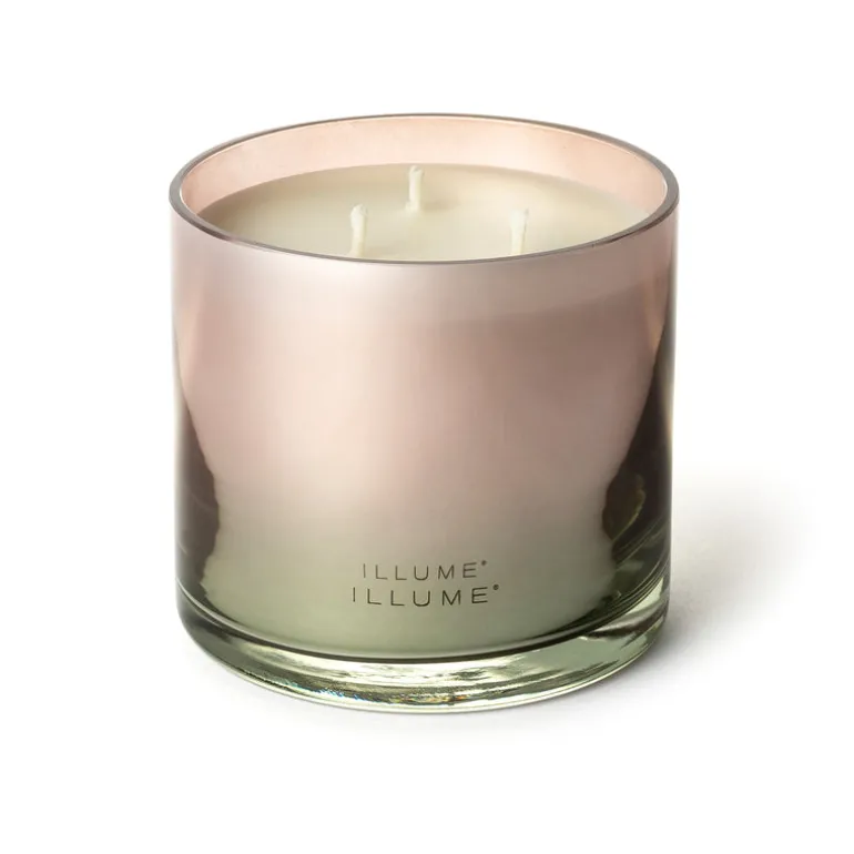 Coconut Milk Mango Statement Glass Candle