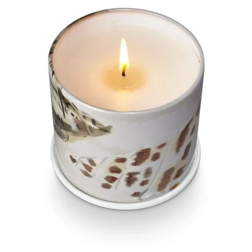 Driftwood Vanity Tin Candle