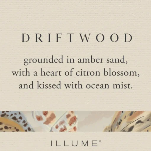 Driftwood Vanity Tin Candle