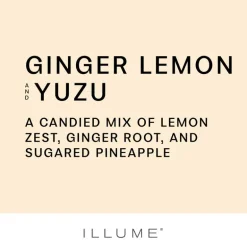 Ginger Lemon and Yuzu Ceramic Candle