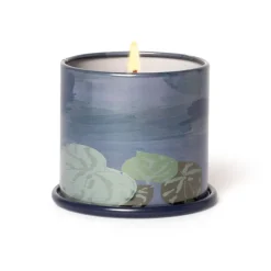 Hidden Lake Demi Vanity Tin Candle