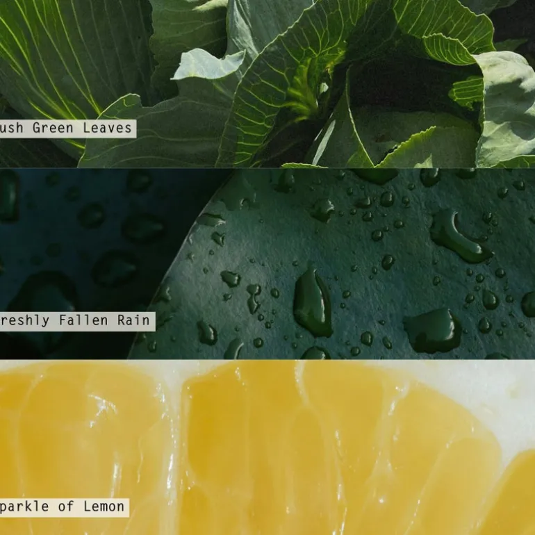 Hidden Lake Demi Vanity Tin Candle