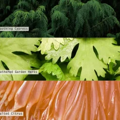 Hinoki Sage Boxed Glass Candle Refill