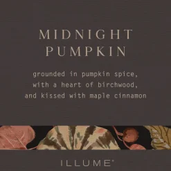 Midnight Pumpkin Mercury Pumpkin Candle