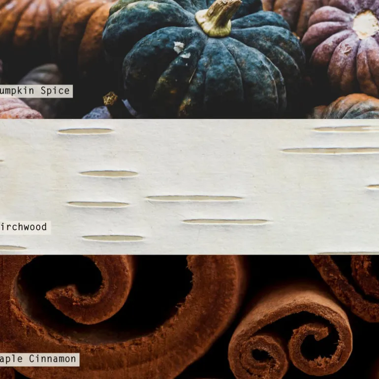 Midnight Pumpkin Vanity Tin Candle