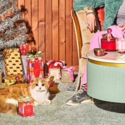 Mistletoe Kisses Bubbled Diffuser