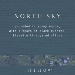 North Sky Demi Vanity Tin Candle